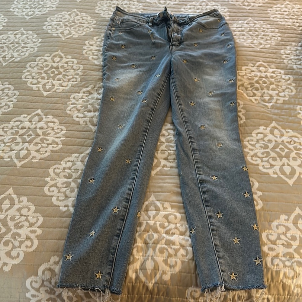 Judy Blue Skinny Fit size 11/30